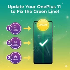 OnePlus 11 with a green line turning into a checkmark, showing software update steps on a vibrant green-yellow-violet background.